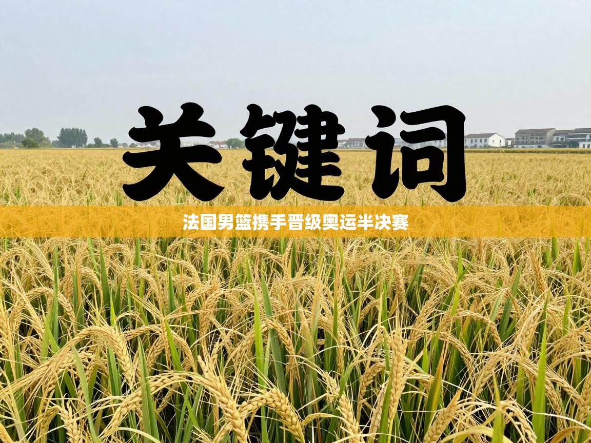 法国男篮携手晋级奥运半决赛  第2张