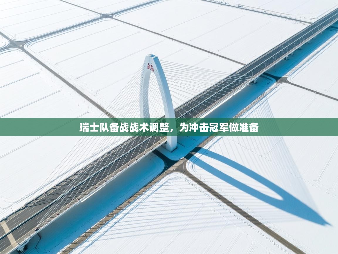 瑞士队备战战术调整，为冲击冠军做准备  第2张