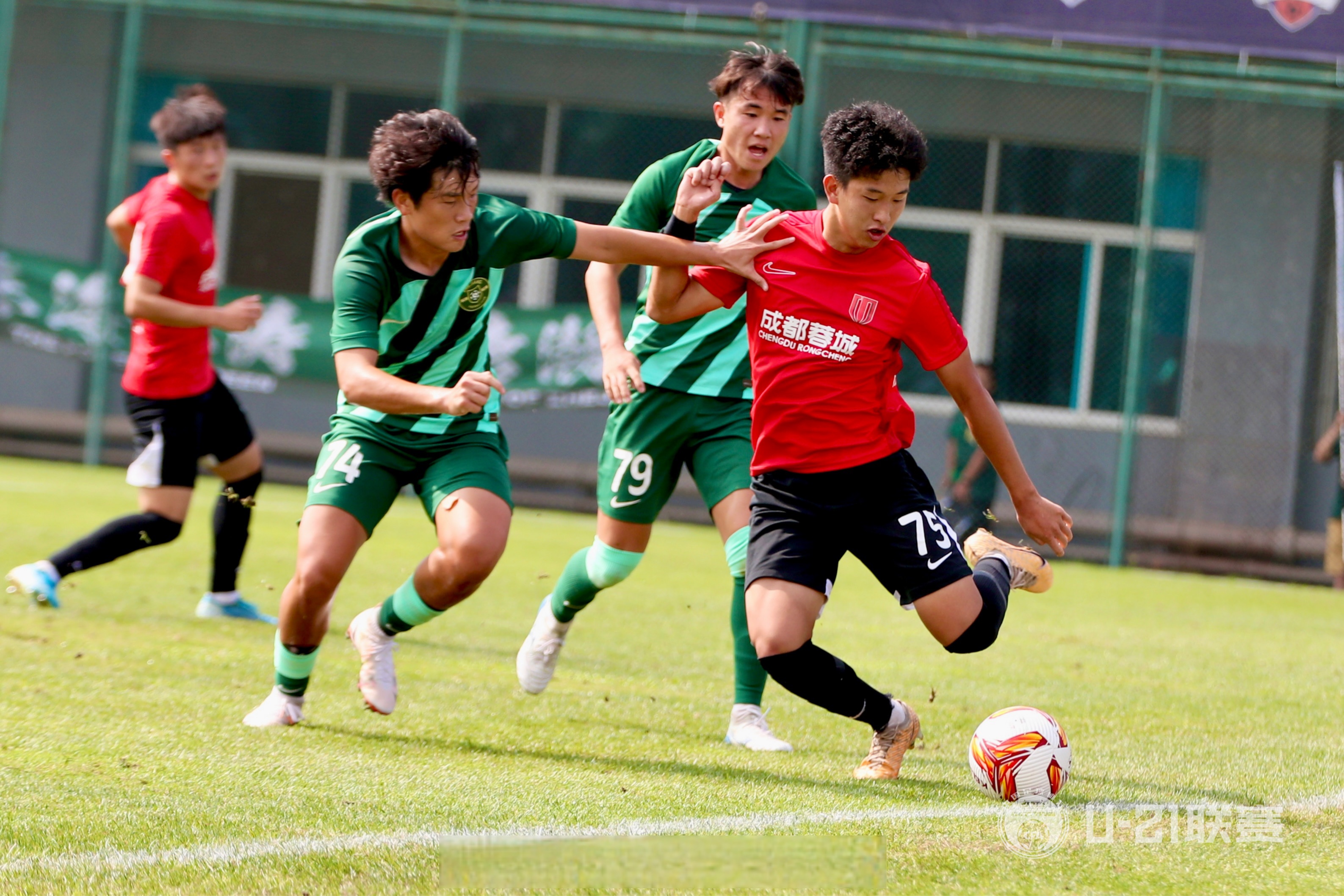 包含杭州绿城能源球员训练努力，队员关系融洽的词条